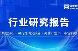 开云体育APP下载-2025年棒球配件行业报告-市场规模、潜力及增长趋势