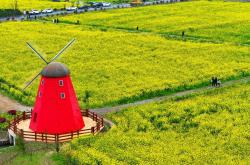 开云-电竞比赛吸引众多观众，电竞产业蓬勃发展