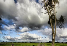 kaiyun-澳大利亚羽(yǔ)毛球公开賽(sài)印尼军团一共(gòng)11人晋级决賽(sài)