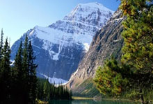 开云-全运会｜郑钦文将缺席十五运会网球比赛