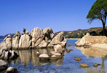 开云-全运会｜郑钦文将缺席十五运会网球比赛